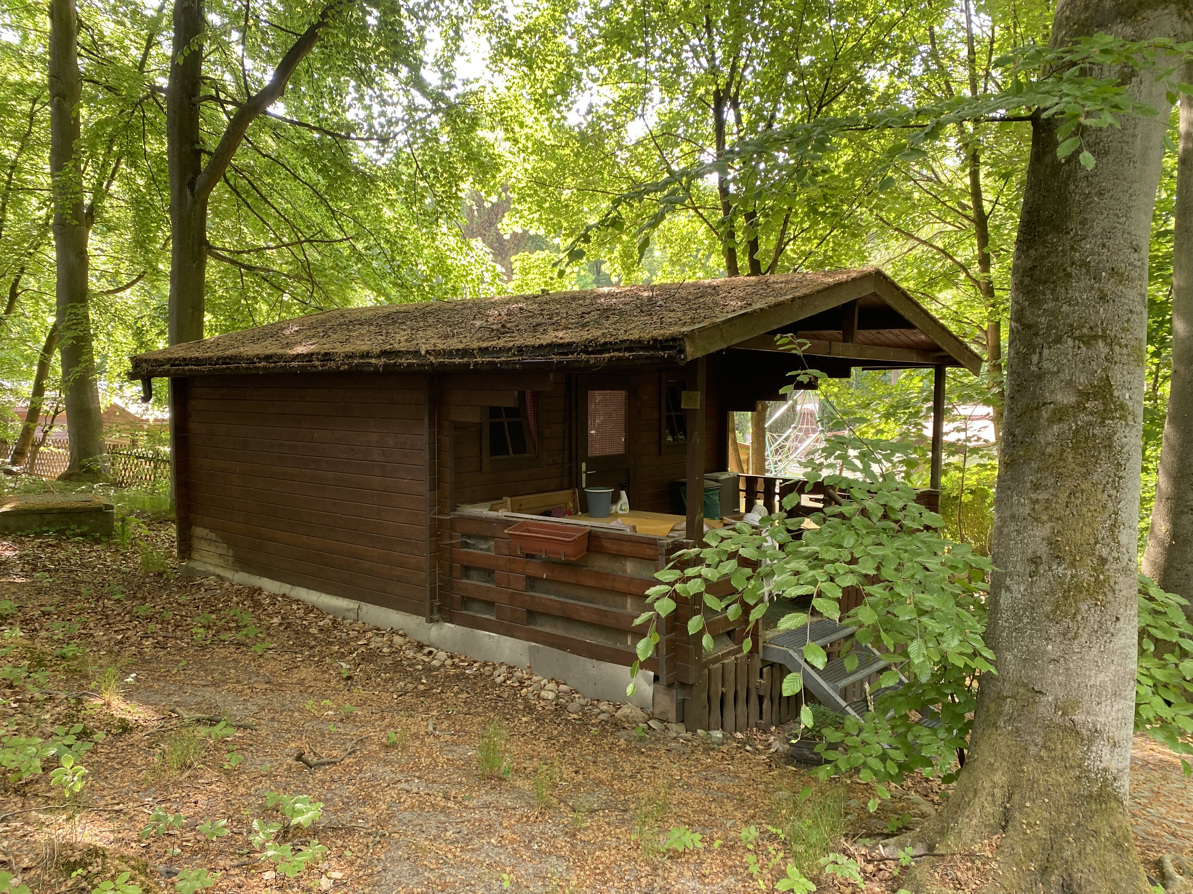 die Hütte
