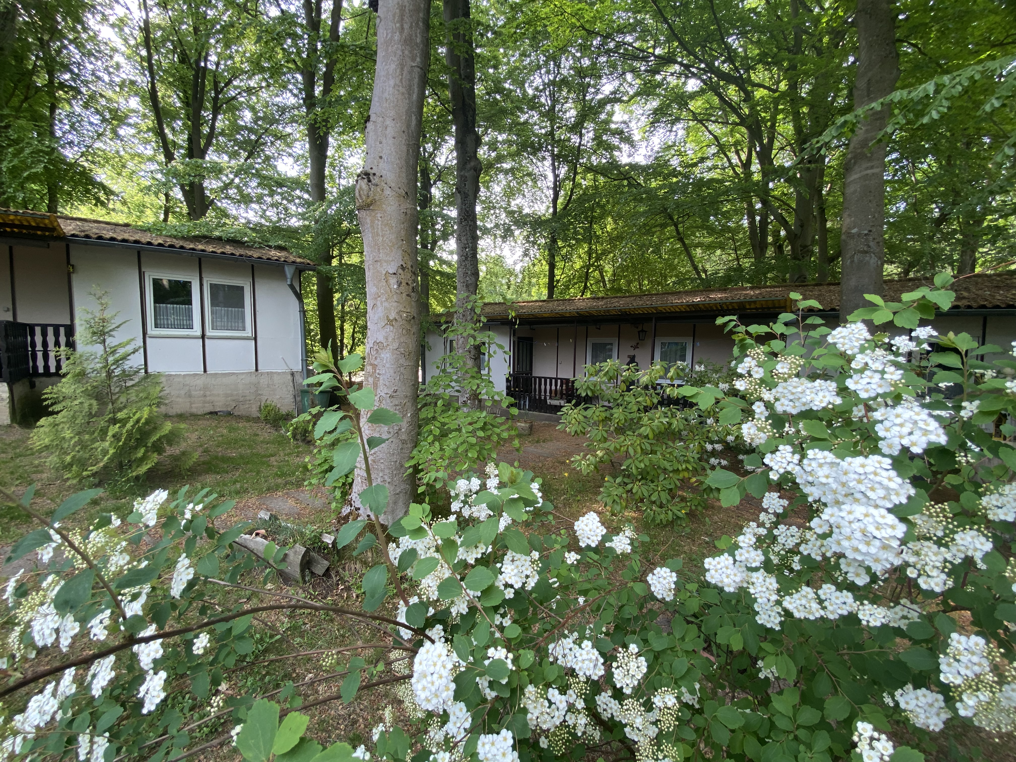 Slider Image 12